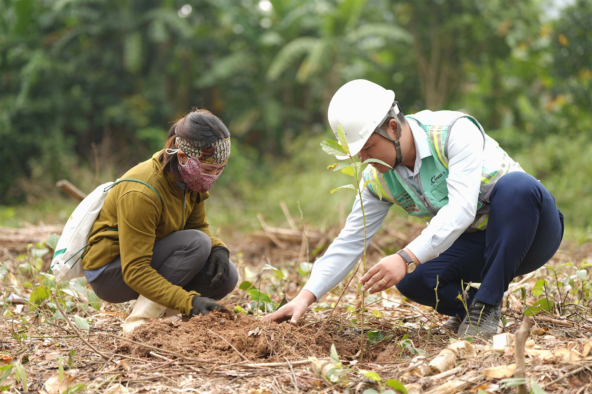 Corporate 
Sustainability